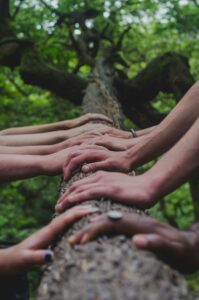 Nine different hands resting in solidarity on top of a log in the forest
